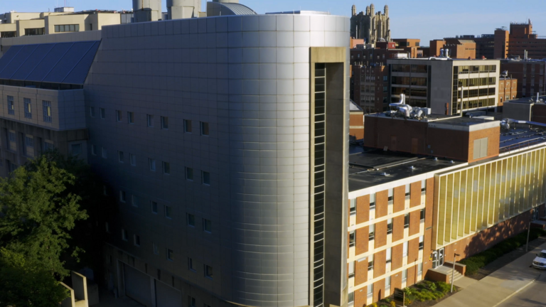 A view of several buildings on the University of Iowa campus. The foreground features a modern, silver-paneled building with a curved facade and vertical windows, connected to a red-brick building with yellow-tinted glass panels and a flat roof. In the background, additional university buildings and a historic Gothic-style structure are visible under a clear blue sky.