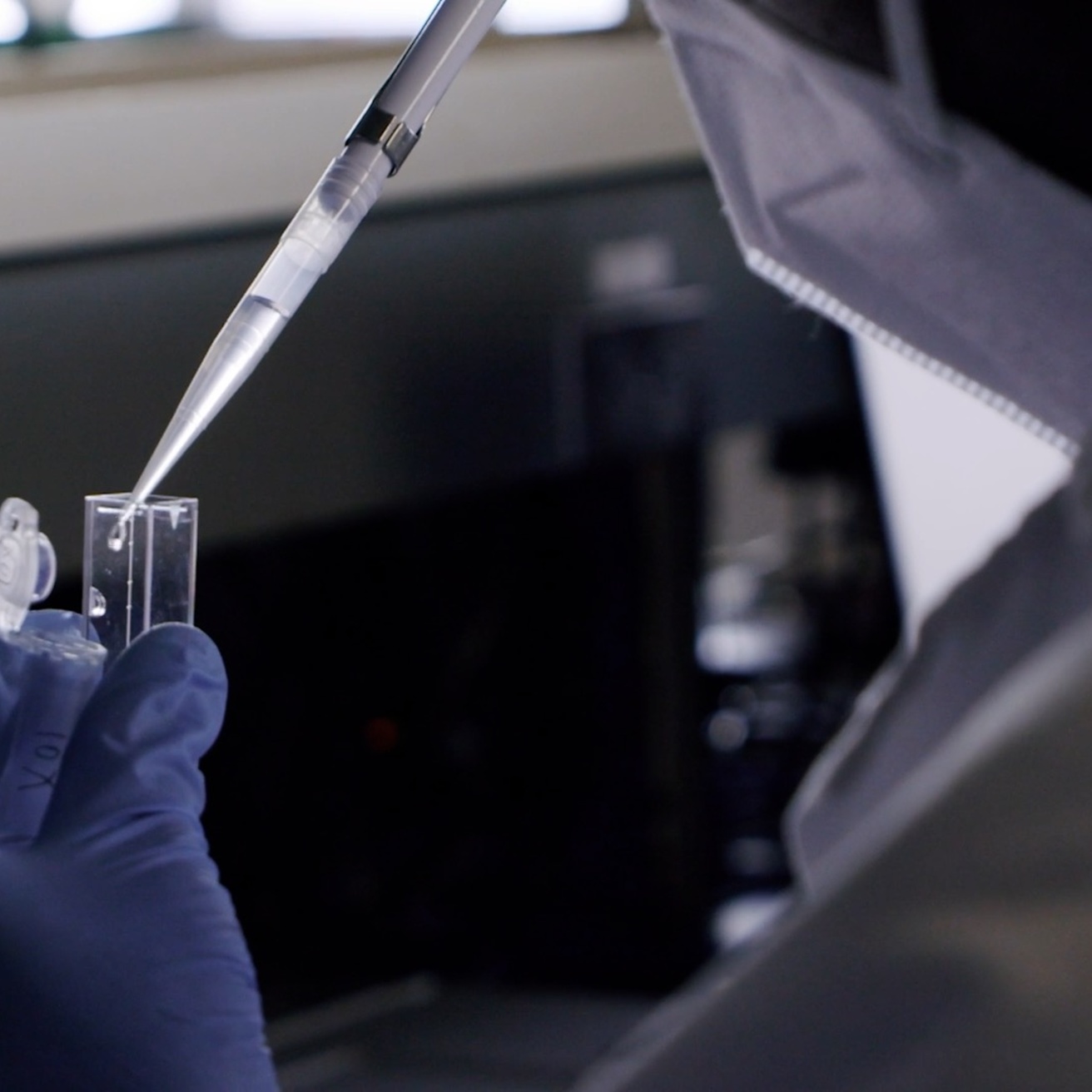 Lab