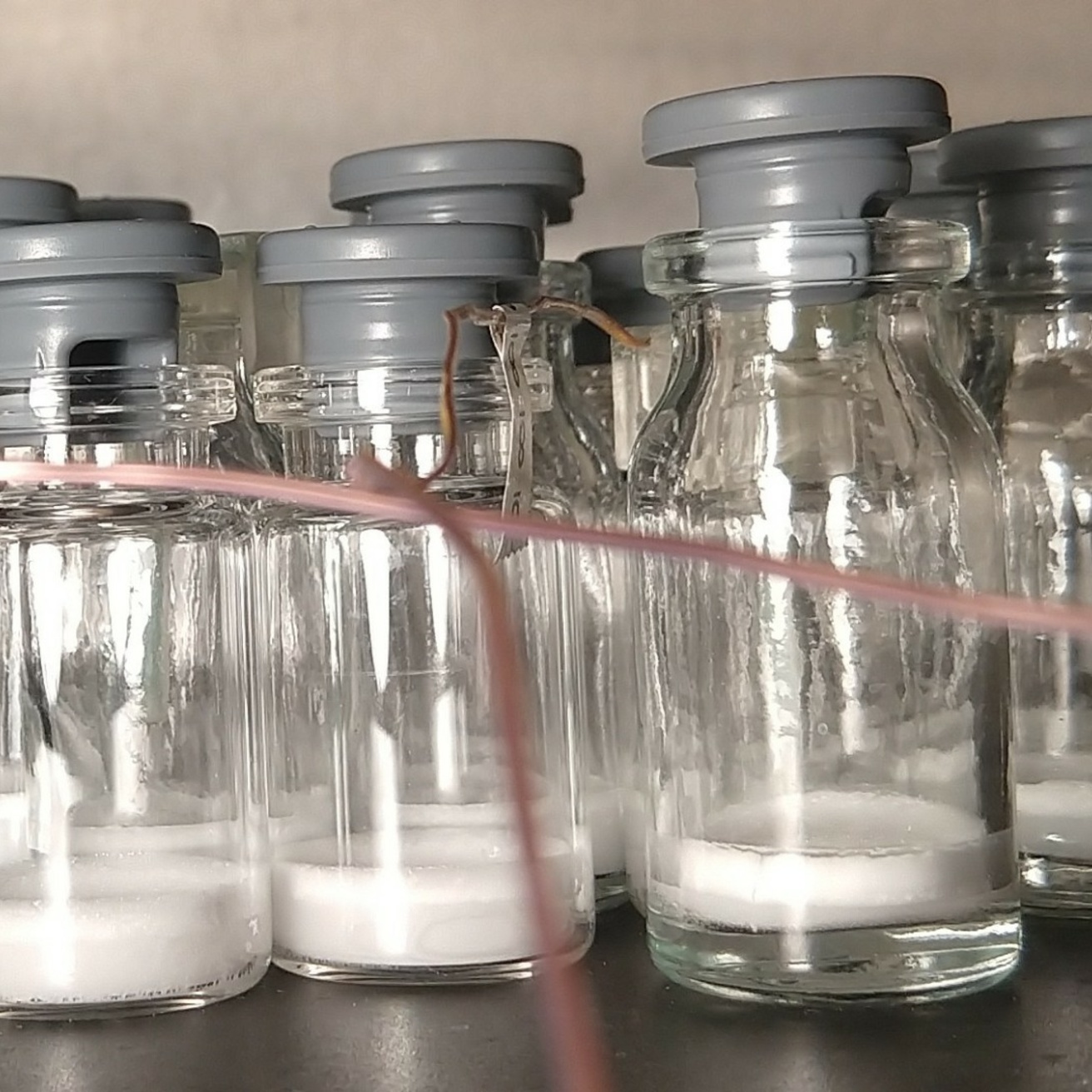A row of glass vials with gray stoppers containing white powder or crystalline substance at the bottom. A thin wire or tube runs across the image.